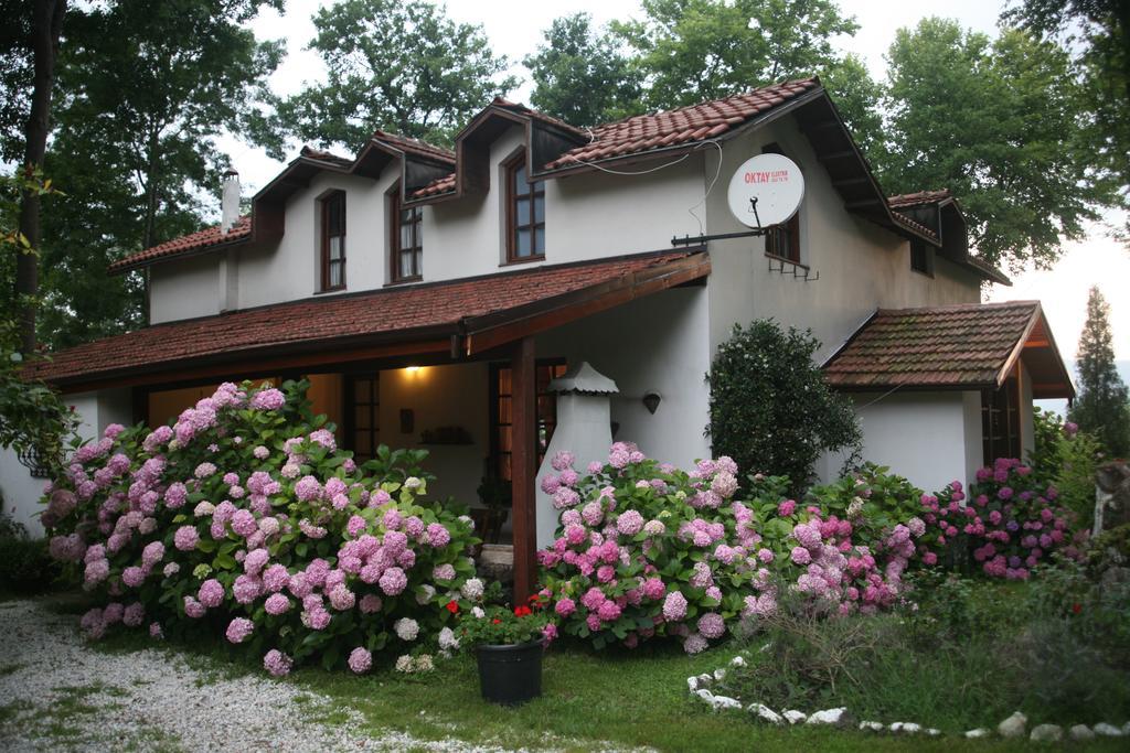 Beta Home Сапанджа Номер фото